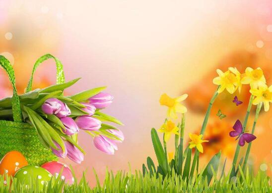 悔不当初的唯美句子