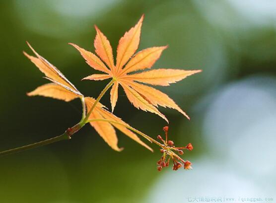 时尚潮流的句子