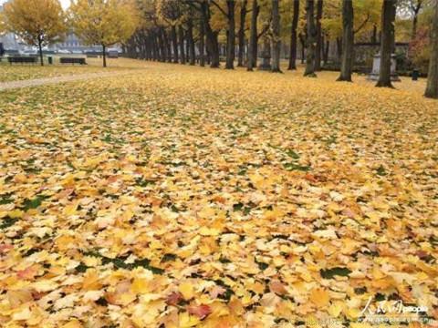 一般将来时的句子