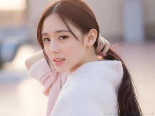 精美句子摘抄20句