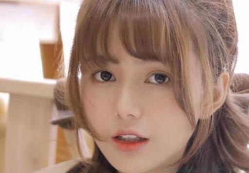 关于法治的优美句子