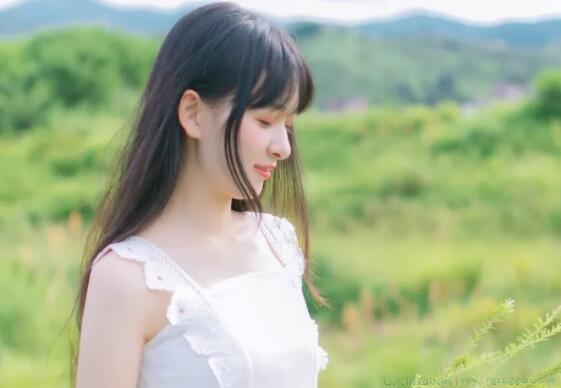 春天的唯美句子