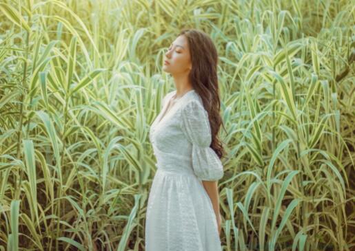 雨淅淅沥沥的优美句子