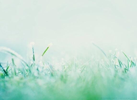 突然一刻心酸的句子