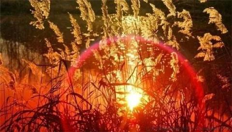 简短开学寄语一句话