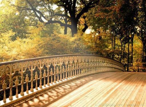 一生难得一知己的句子