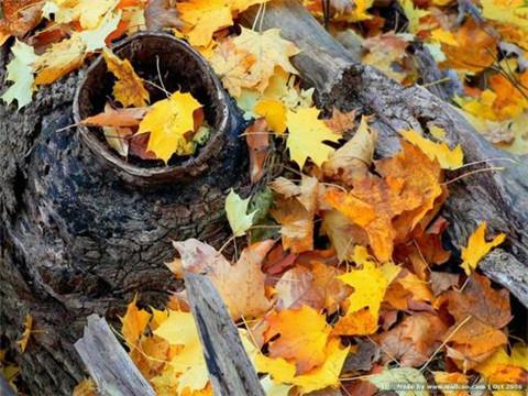 愿一切安好的优雅句子