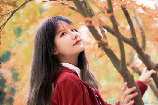 大彻大悟的10精美句子