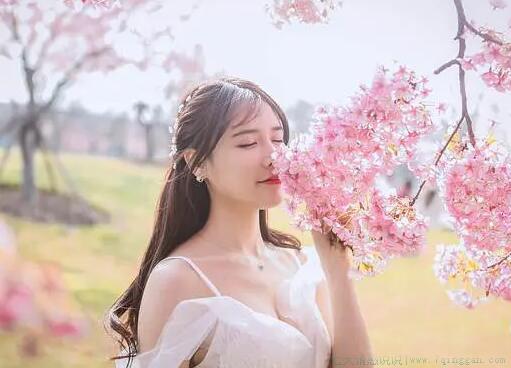 50句优美句子10字以下