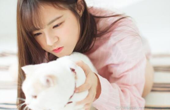 背起行囊的优美句子