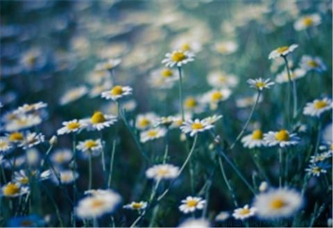 让自己归零唯美句子