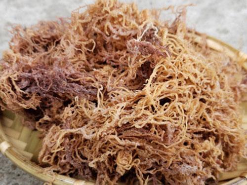 海石花的功效与禁忌