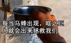 哐之巨人是什么意思