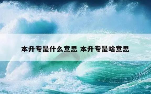 本升专是什么意思