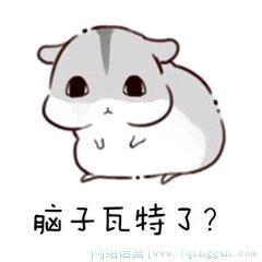脑子瓦特了是什么意思