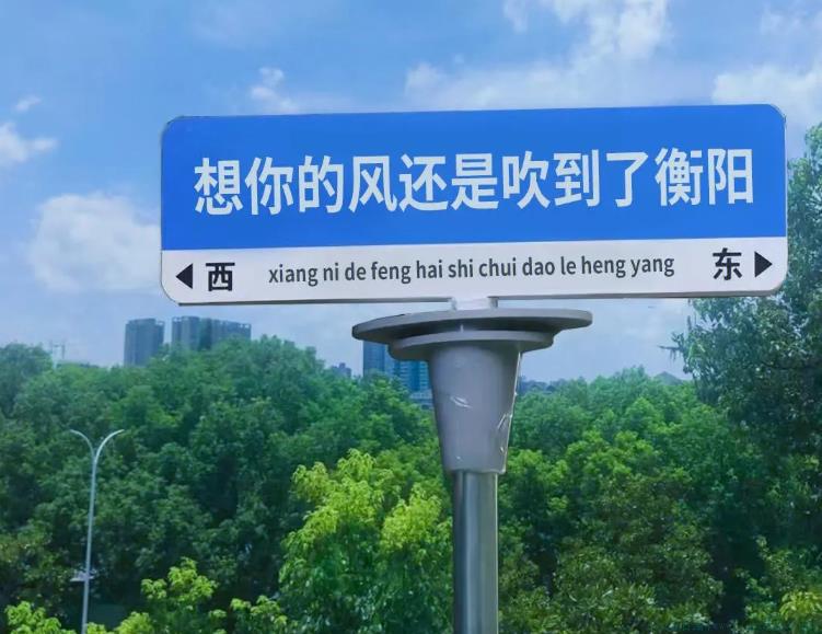 想你的风别吹了是什么意思