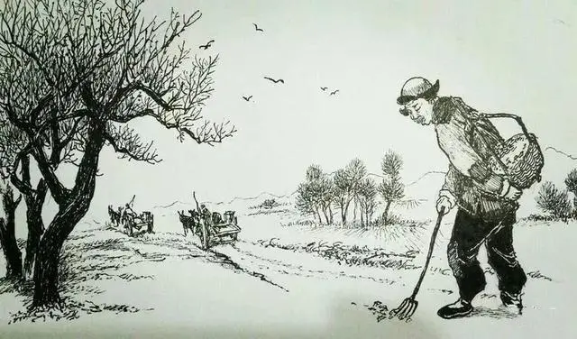 清早起来去拾粪是什么意思