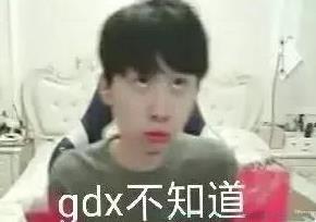 gdx是什么意思