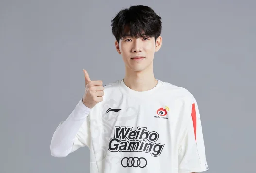 冒充theshy是什么意思