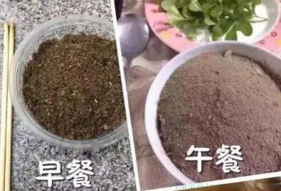 吃圭人是什么意思
