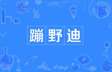 蹦野迪是什么意思