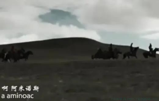 阿米诺斯是什么意思