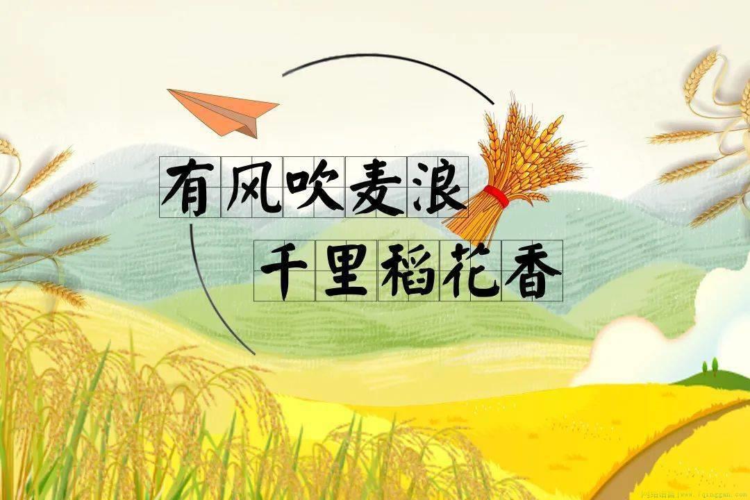 禾下乘凉梦是什么意思