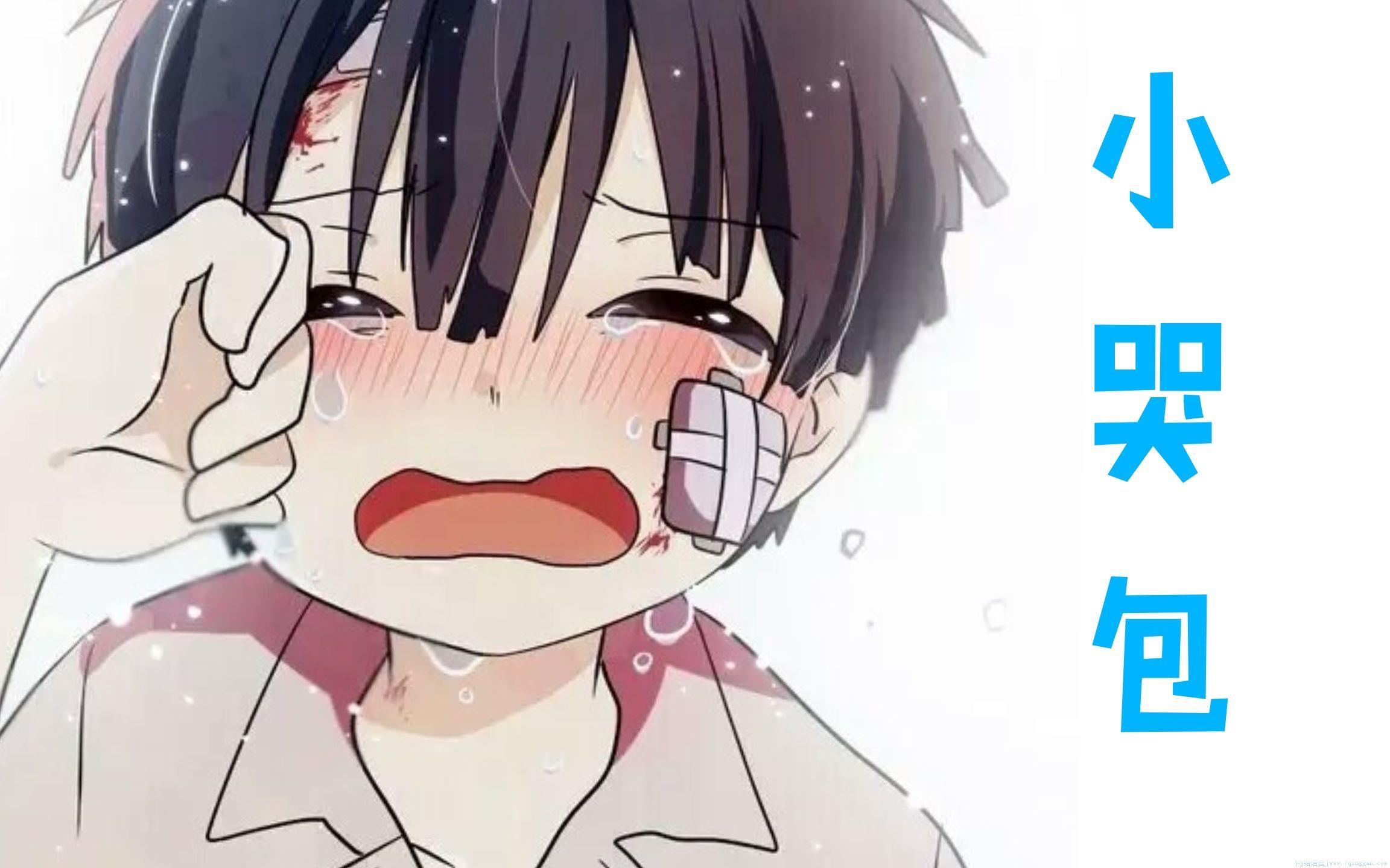 小哭包是什么意思