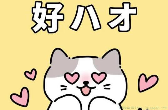 好ハオ是什么意思