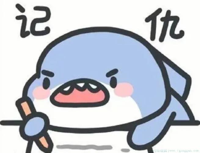 你是哪个市的领导是什么意思