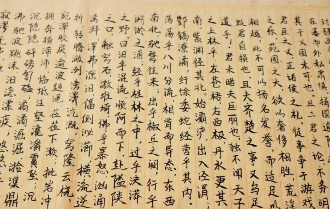 写上林赋得心上人是什么意思