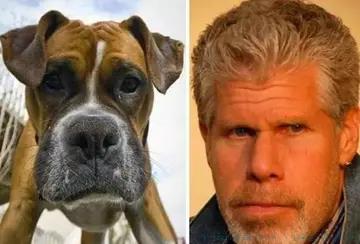 违和感是什么意思