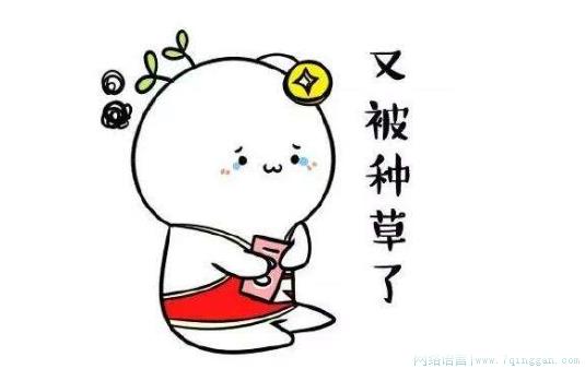 种草是什么意思