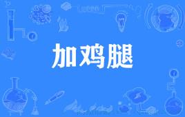 摄影师晚餐加根鸡腿是什么意思 摄影师晚餐加根鸡腿是什么意思
