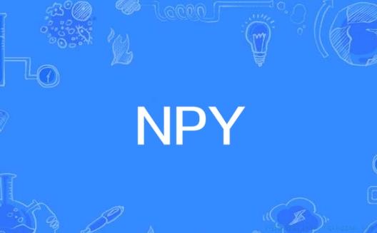 NPY是什么意思