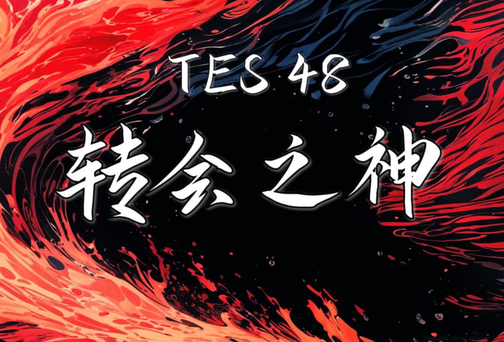 TES48是什么意思