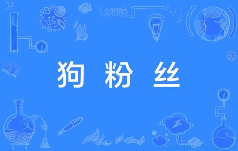 狗粉丝是什么意思