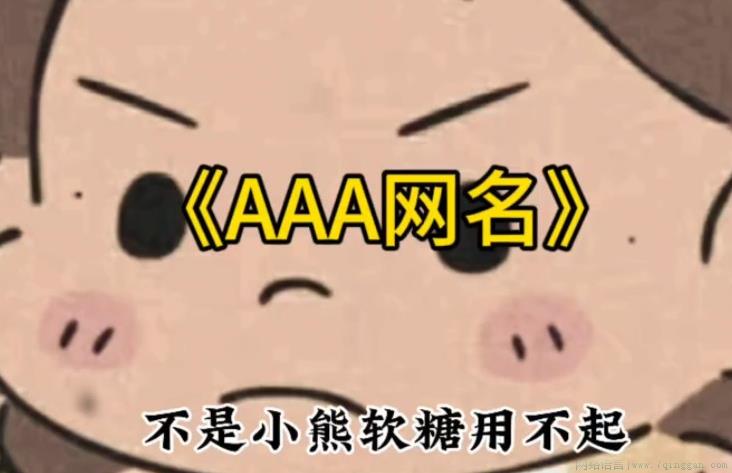 aaa搞笑网名梗是什么意思