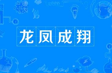 龙凤成翔是什么意思