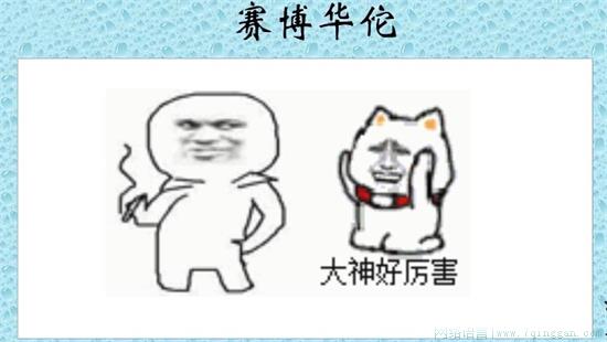 赛博华佗是什么意思