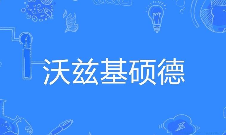 沃兹基硕德是什么意思