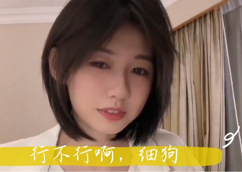 程女士细狗是什么意思