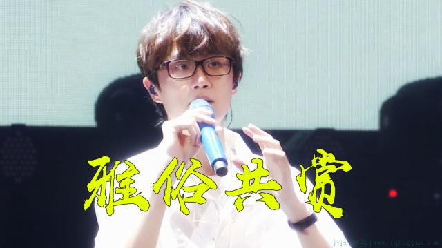 十年许嵩雅俗共赏是什么意思