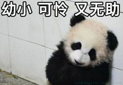 瑟瑟发抖是什么意思