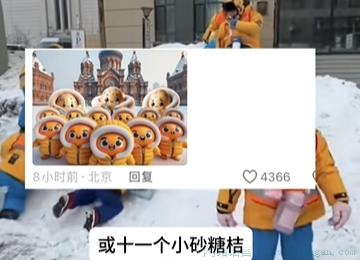 南方砂糖橘是什么意思
