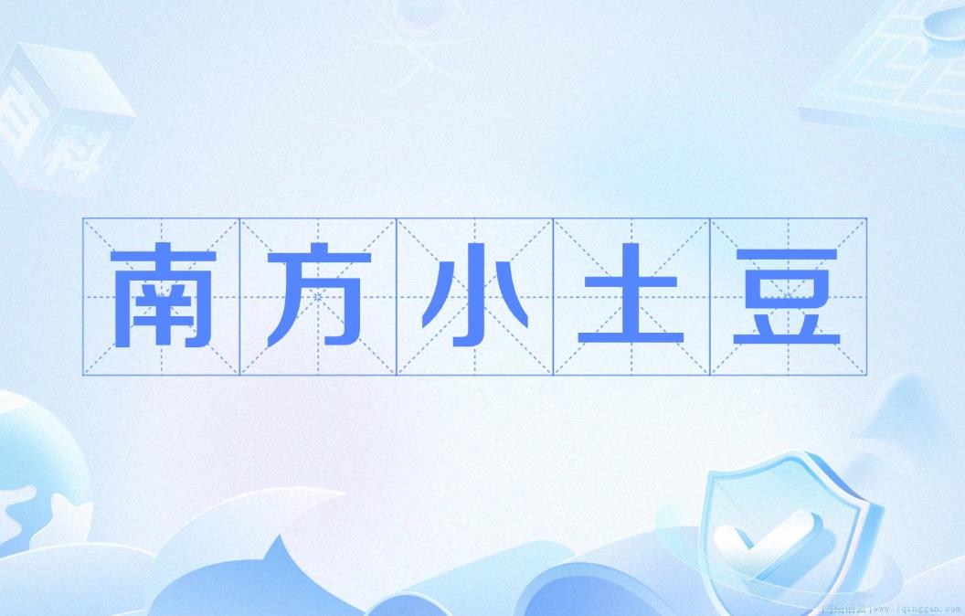 南方小土豆是什么意思