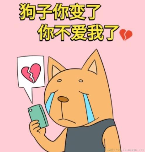 狗子你变了是什么意思
