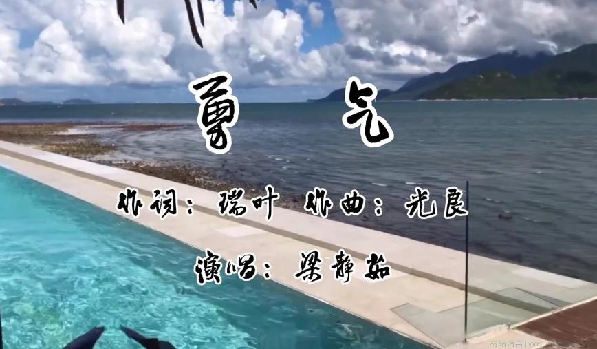 六眼飞鱼是什么意思