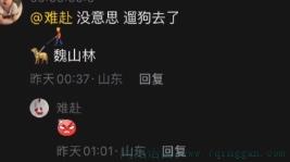 评论区遛狗是什么意思