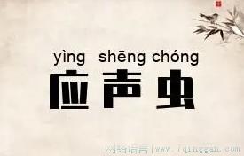 应声虫是什么意思